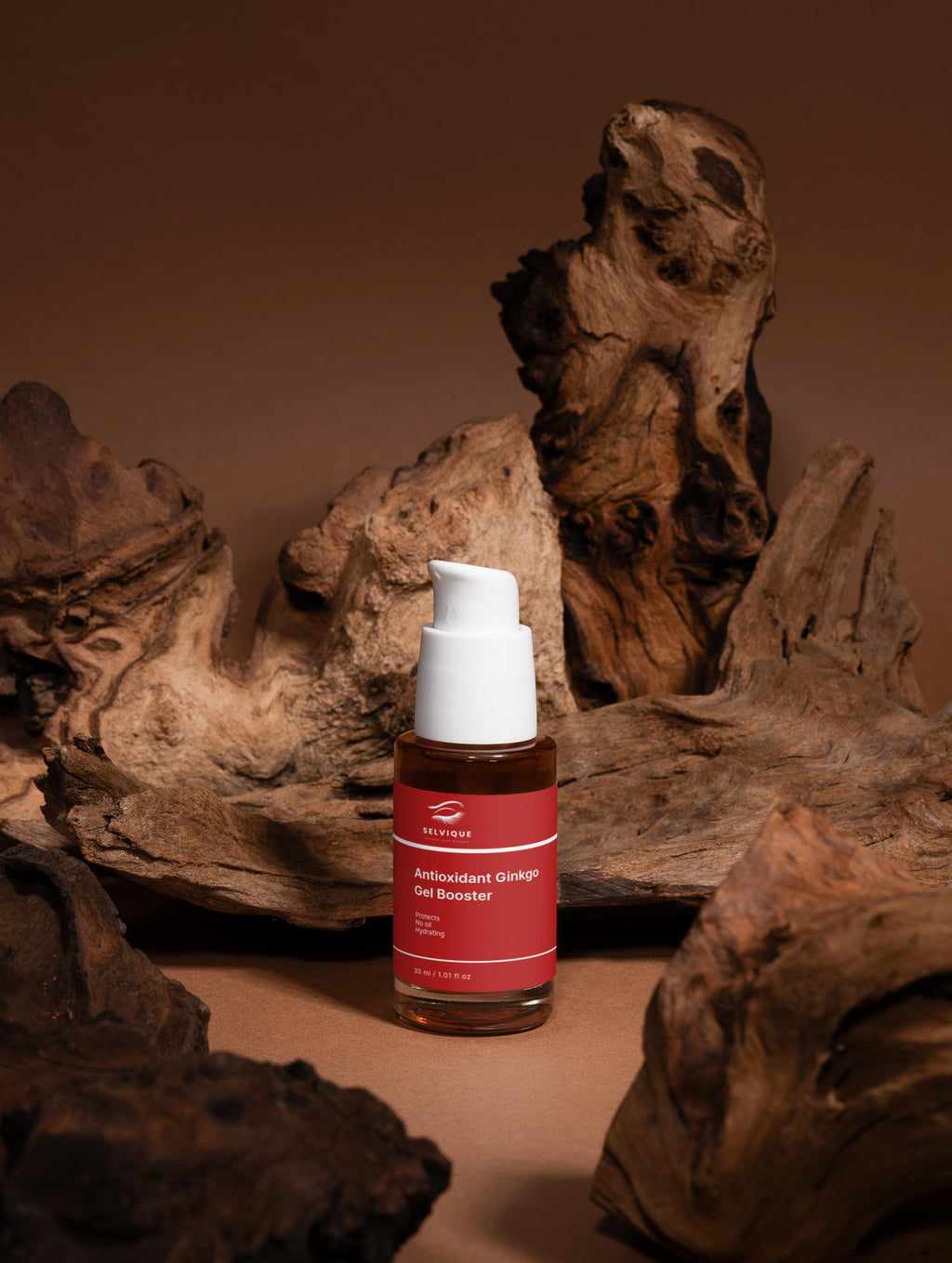 Antioxidant Ginkgo Gel Booster